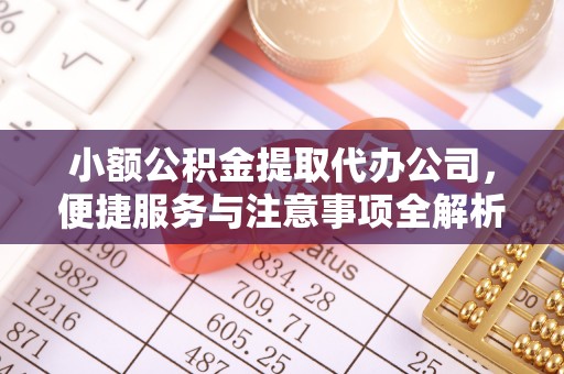 酉阳小额公积金提取代办公司，便捷服务与注意事项全解析