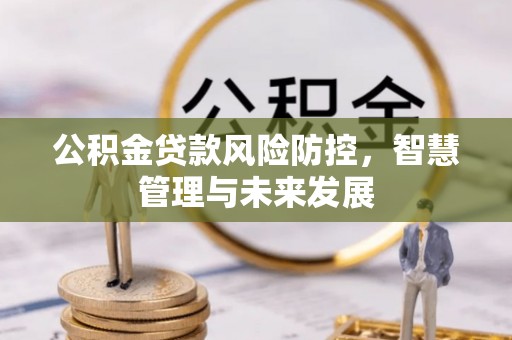 酉阳公积金贷款风险防控，智慧管理与未来发展
