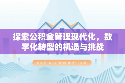 酉阳探索公积金管理现代化，数字化转型的机遇与挑战