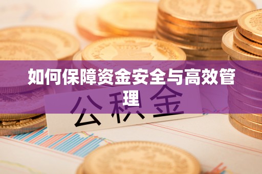 酉阳如何保障资金安全与高效管理