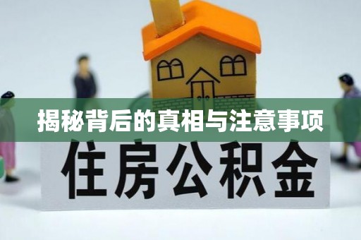 酉阳揭秘背后的真相与注意事项