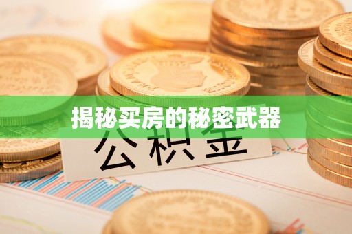 酉阳揭秘买房的秘密武器