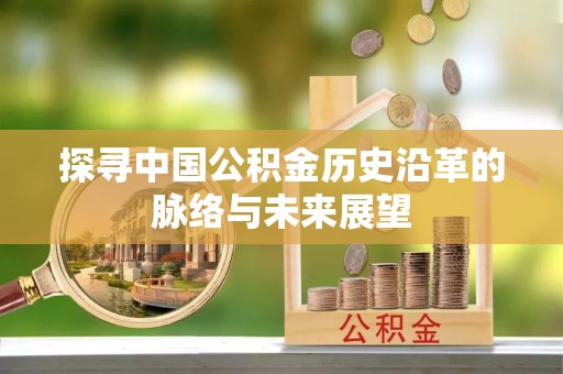 酉阳探寻中国公积金历史沿革的脉络与未来展望