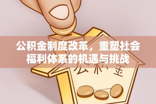 酉阳公积金制度改革，重塑社会福利体系的机遇与挑战