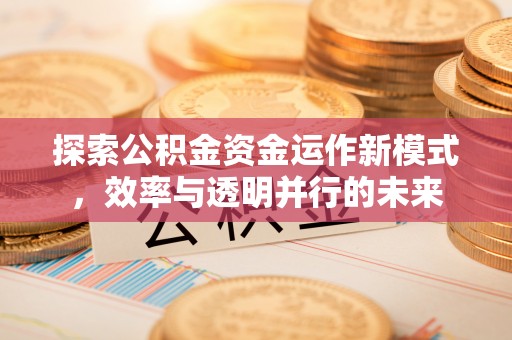 酉阳探索公积金资金运作新模式，效率与透明并行的未来