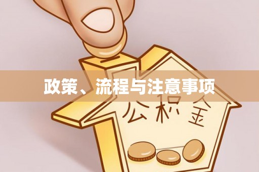 酉阳政策、流程与注意事项