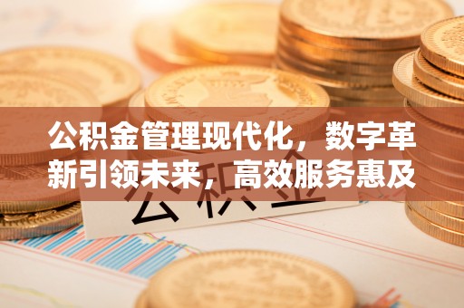 酉阳公积金管理现代化，数字革新引领未来，高效服务惠及民生