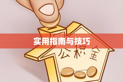 酉阳实用指南与技巧