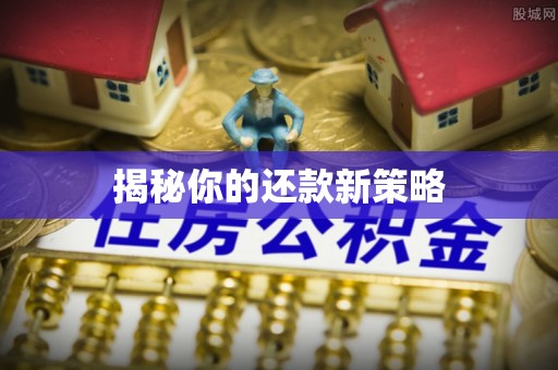 酉阳揭秘你的还款新策略