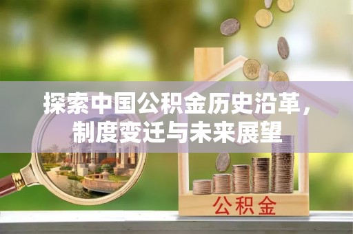 酉阳探索中国公积金历史沿革，制度变迁与未来展望
