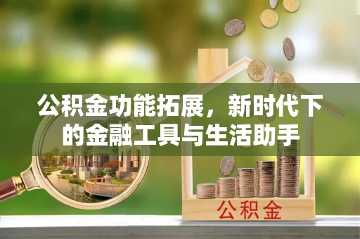 酉阳公积金功能拓展，新时代下的金融工具与生活助手