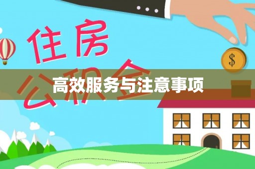 酉阳高效服务与注意事项