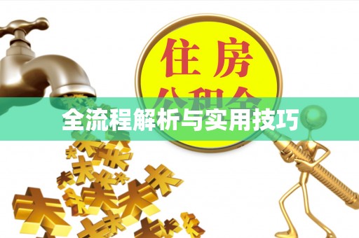 酉阳全流程解析与实用技巧