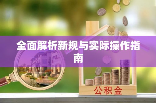 酉阳全面解析新规与实际操作指南