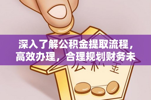 酉阳深入了解公积金提取流程，高效办理，合理规划财务未来