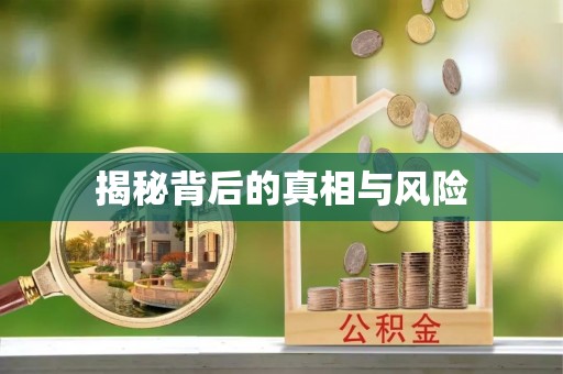 酉阳揭秘背后的真相与风险