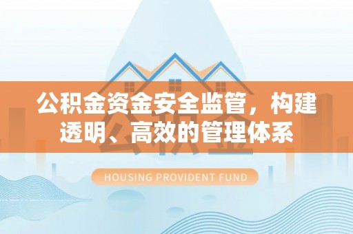 酉阳公积金资金安全监管，构建透明、高效的管理体系