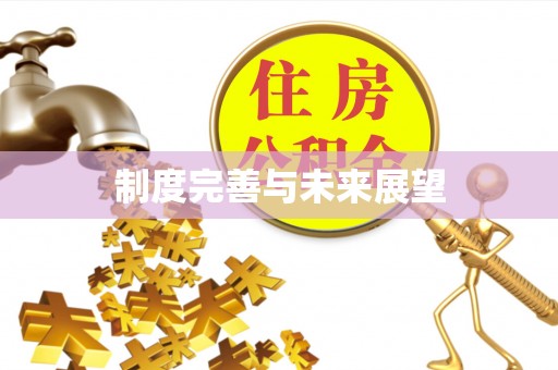 酉阳制度完善与未来展望