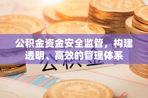 酉阳公积金资金安全监管，构建透明、高效的管理体系
