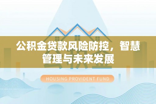 酉阳公积金贷款风险防控，智慧管理与未来发展