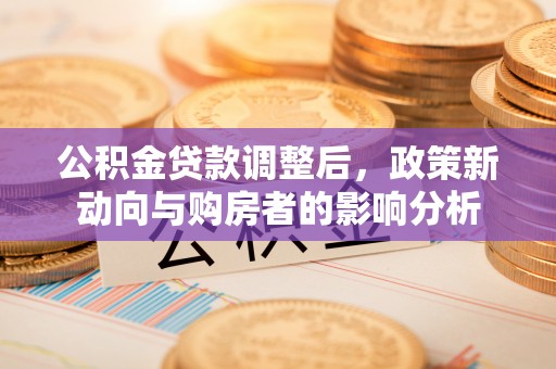 酉阳公积金贷款调整后，政策新动向与购房者的影响分析
