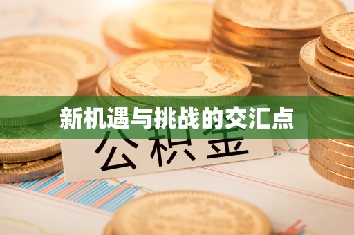 酉阳新机遇与挑战的交汇点