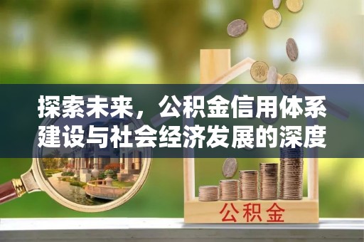 酉阳探索未来，公积金信用体系建设与社会经济发展的深度融合