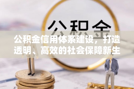 酉阳公积金信用体系建设，打造透明、高效的社会保障新生态