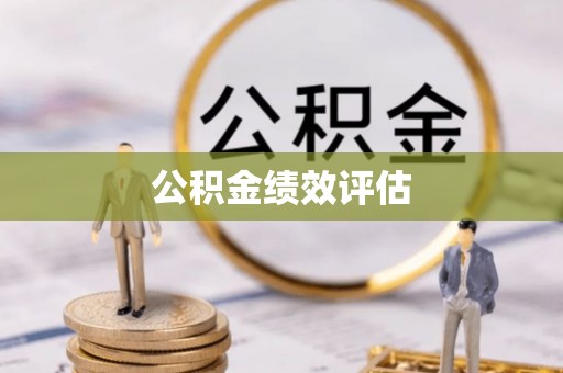 酉阳公积金绩效评估
