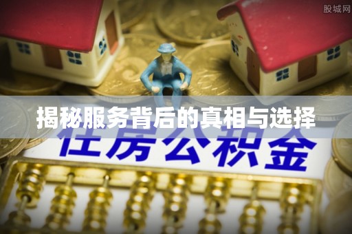 酉阳揭秘服务背后的真相与选择