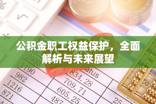 酉阳公积金职工权益保护，全面解析与未来展望