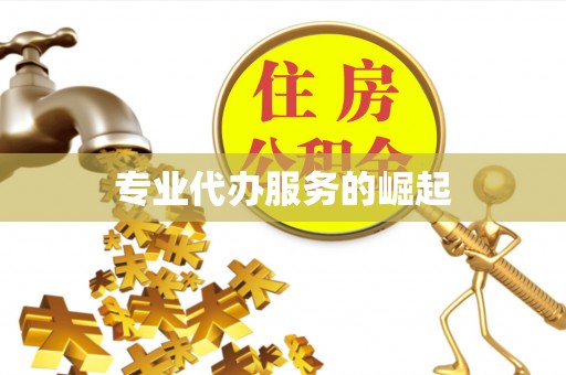 酉阳专业代办服务的崛起