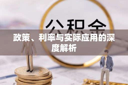 酉阳政策、利率与实际应用的深度解析