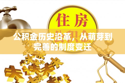 酉阳公积金历史沿革，从萌芽到完善的制度变迁