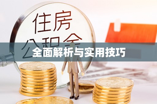酉阳全面解析与实用技巧