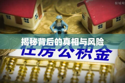 酉阳揭秘背后的真相与风险