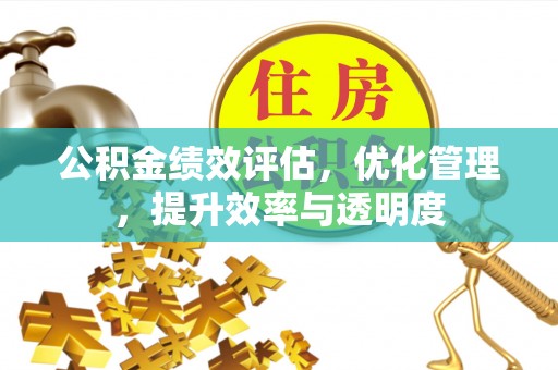 酉阳公积金绩效评估，优化管理，提升效率与透明度