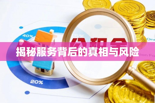 酉阳揭秘服务背后的真相与风险