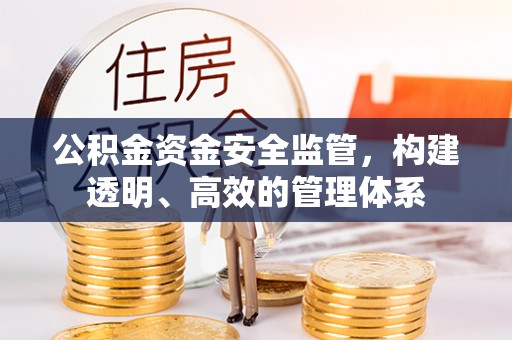 酉阳公积金资金安全监管，构建透明、高效的管理体系