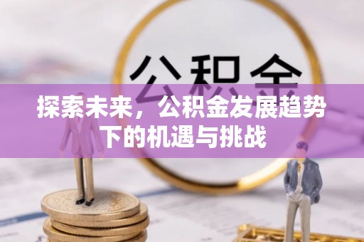 酉阳探索未来，公积金发展趋势下的机遇与挑战