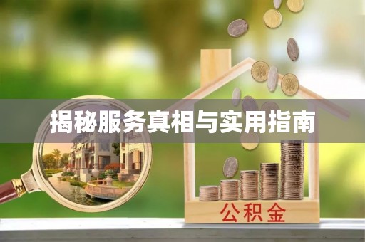 酉阳揭秘服务真相与实用指南