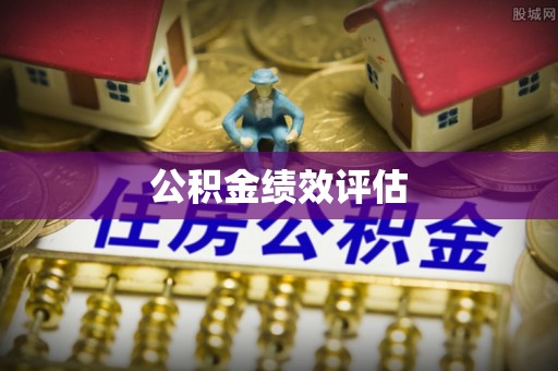 酉阳公积金绩效评估