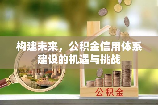 酉阳构建未来，公积金信用体系建设的机遇与挑战