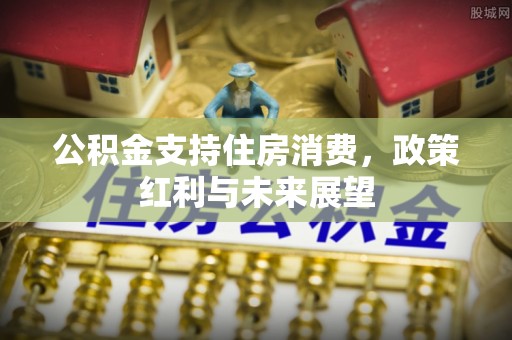 酉阳公积金支持住房消费，政策红利与未来展望