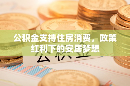 酉阳公积金支持住房消费，政策红利下的安居梦想