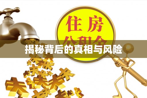 酉阳揭秘背后的真相与风险