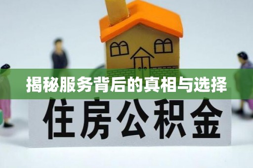 酉阳揭秘服务背后的真相与选择
