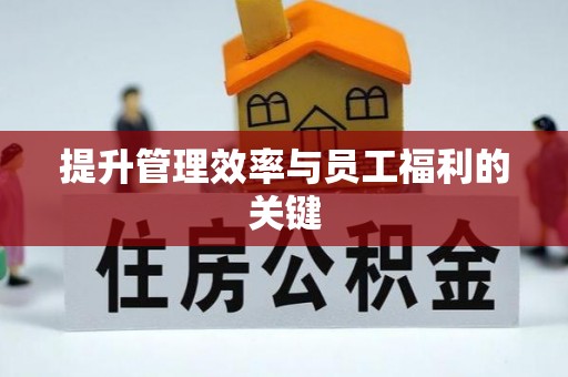 酉阳提升管理效率与员工福利的关键