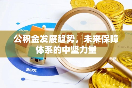 酉阳公积金发展趋势，未来保障体系的中坚力量
