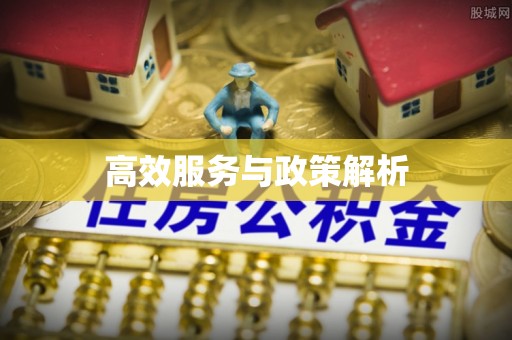 酉阳高效服务与政策解析